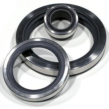  Oil Seals