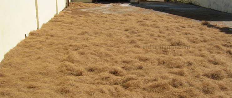 industrial coir