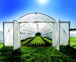 Green House Films