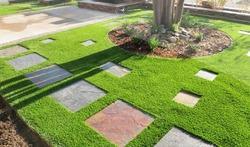 Artificial Grass for Landscaping