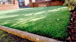 Artificial Grasses