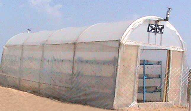 Solar Tunnel Dryers