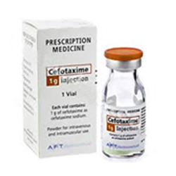 Cefotaxime sodium