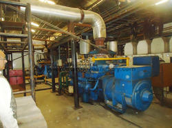 Diesel Gas Hfo Power Generator Sets