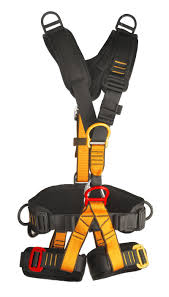 Full Body Harness