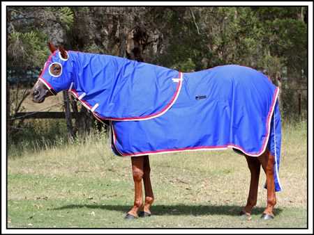 Horse Rugs