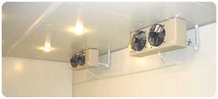 Cold Room