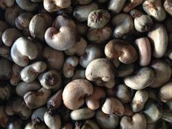 Raw Cashew