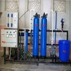 DE Mineralized Plants 