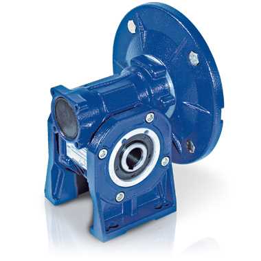 Motovario Worm Gear Reducer