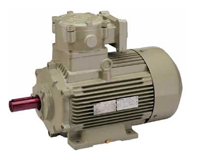  Flame Proof Motors 