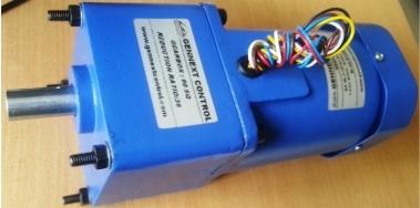 AC Induction Motor