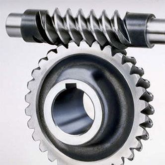 Spur Helical Gear