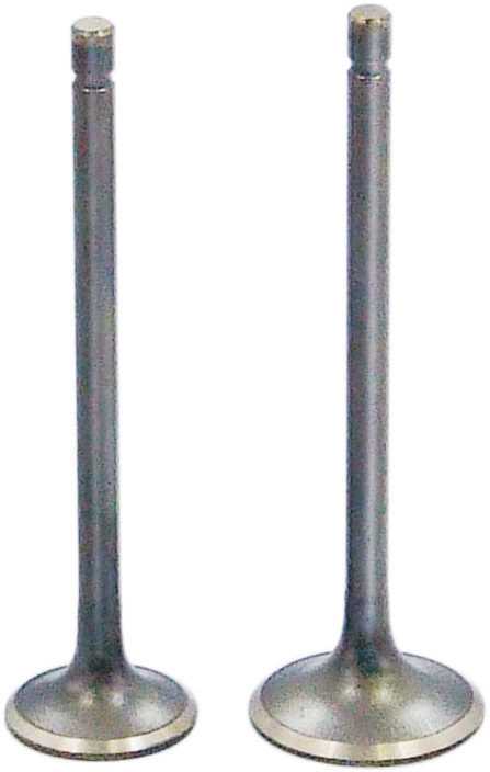 VALVE INLET EXHAUST