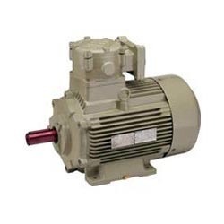 Flameproof Electric Motor