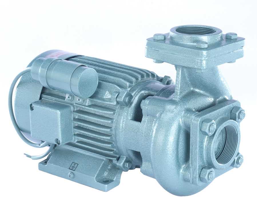 ACE 100 Monoblock Pump