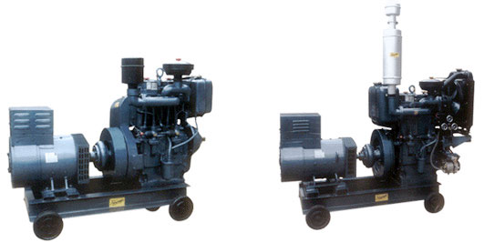 Domestic Generators