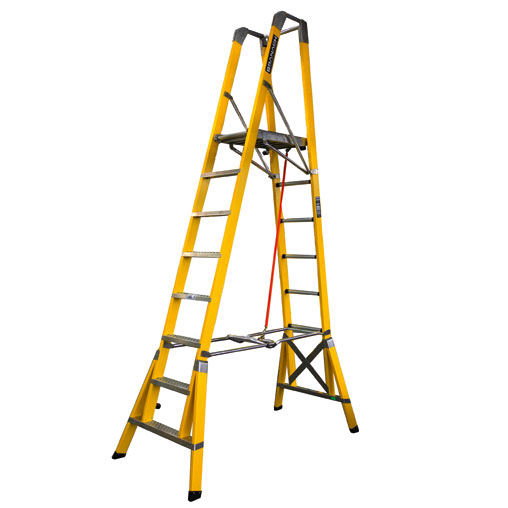 Platform Ladder