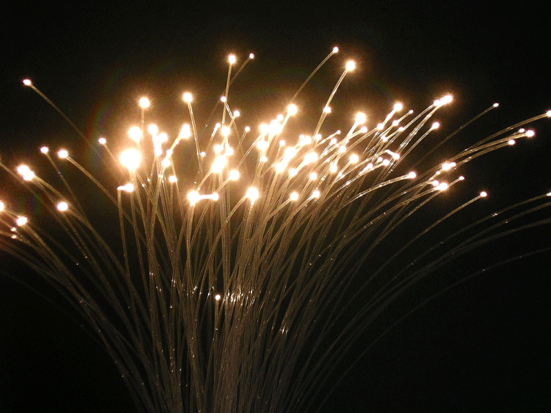 Fibre Optic Lights