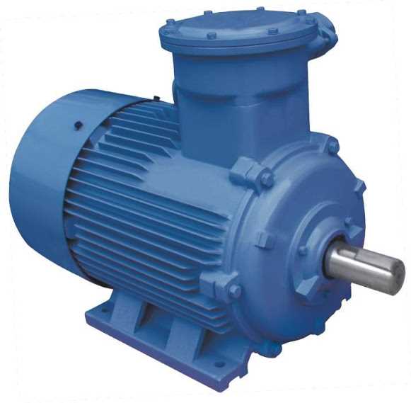 Induction Motor