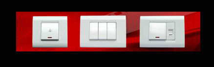 Modular Plate Switch