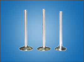 Engine Valves