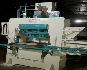 AHP 1000 PAVER BLOCK PER HR