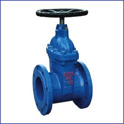Industrial Valve