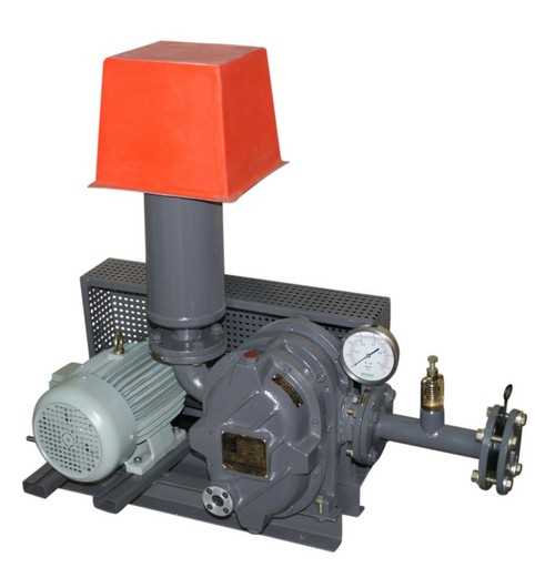 Twin Lobe Compressor
