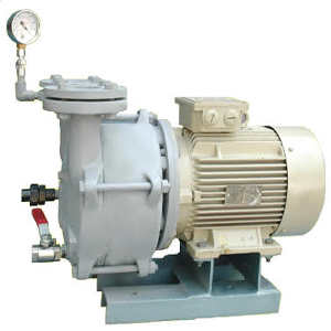 Monoblock Watering Pump