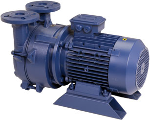 Liquid Ring Motor Pump