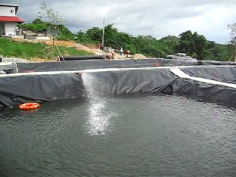 Freshwater Fish Farming