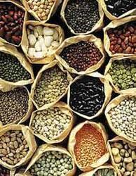 Agriculture Seed