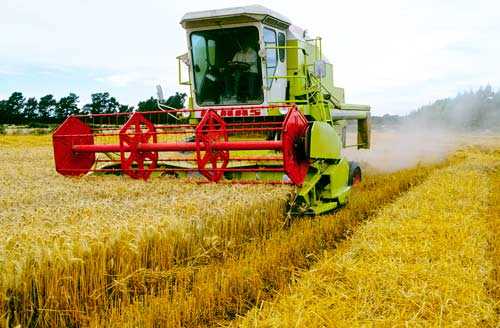 combine harvesor