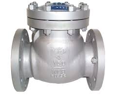 Check Valve