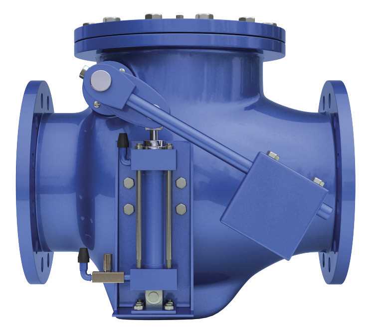 swing check valves