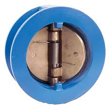 Dual plate check valves