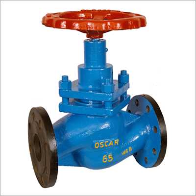 steam globe valves