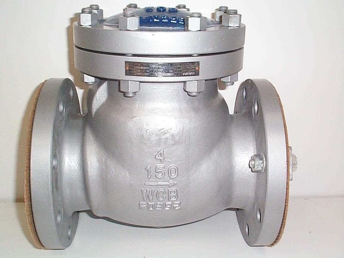 swing type check valves