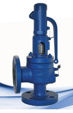 Safety Valve
