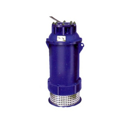 J Class Pumps