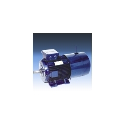 siemens crane duty break motor