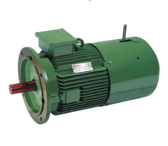 vfd crane duty motor
