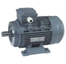 Electric Induction Motor