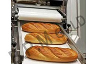 Food Grade Conveyor Belts