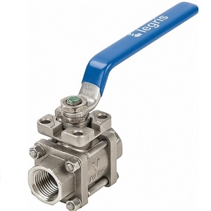 Valve Legris