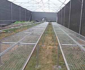 Hardening Chamber